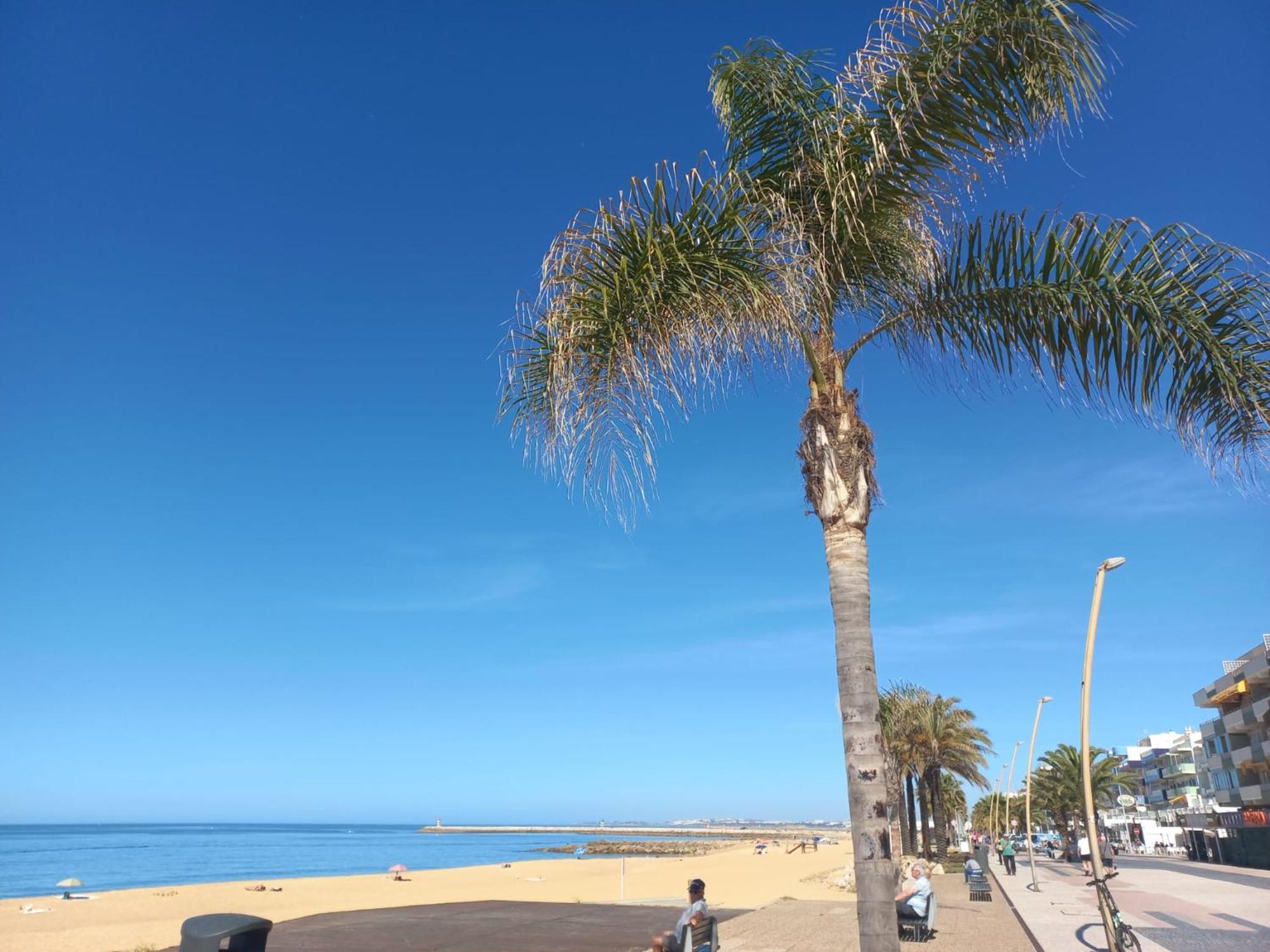 Mare Viva Beach Apartment Картейра Экстерьер фото